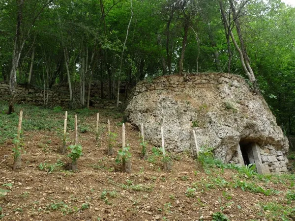 Journées du Patrimoine - Cave troglodyte, rucher, vitrail