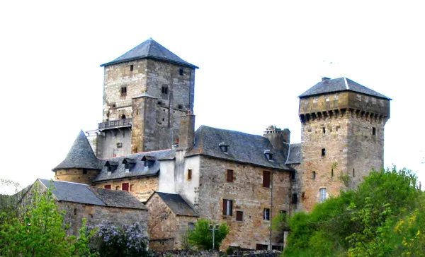 Journées Européennes du Patrimoine : Visite guidée du Château de Galinières