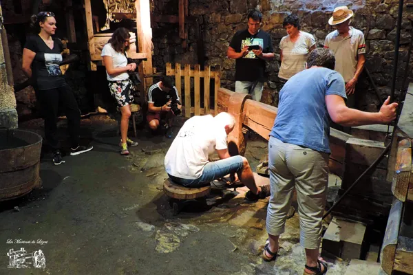 Visite des Martinets du Lézert, OFFICE DE TOURISME AVEYRON SEGALA