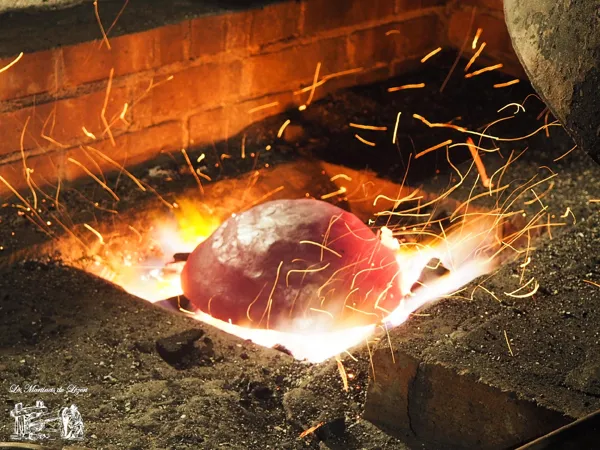 Visite des Martinets du Lézert, OFFICE DE TOURISME AVEYRON SEGALA