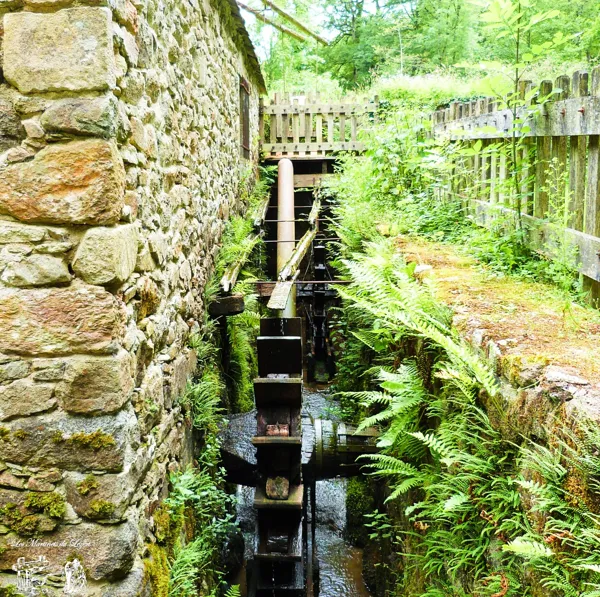 Visite des Martinets du Lézert, OFFICE DE TOURISME AVEYRON SEGALA