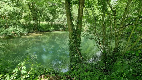 Lantouy au jardin, Le Moulin de Lantouy
