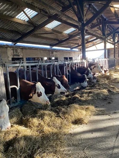 Visite de la ferme de Recoulès, Les Grangettes