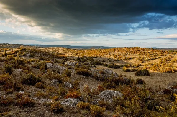 Le GR® 71 C et D - Le tour du Larzac, 