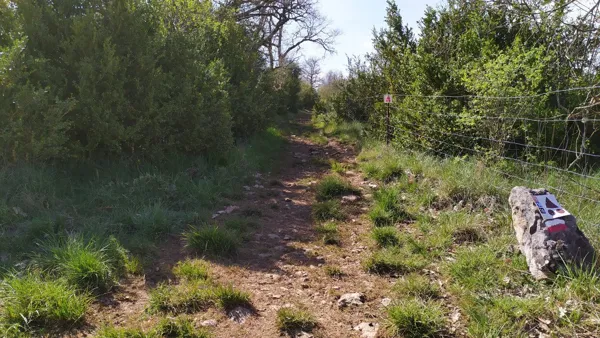 Circuit VTT De La Baraque Froide à La Blaquèrerie, Elodie Calazel - OFFICE DE TOURISME LARZAC VALLEES
