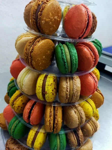 Cocoricook (groupes), Cocoricook