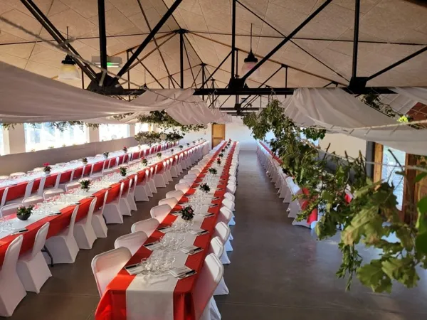 Domaine de la Salvage (salles), Domaine de La Salvage