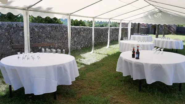 Domaine de la Salvage (salles), Domaine de La Salvage