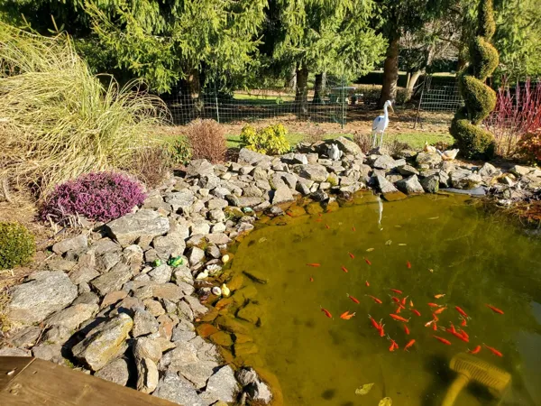 Le Jardin de Chalets - Accueil Groupe  - H12C006002, OFFICE DE TOURISME DE PARELOUP LEVEZOU