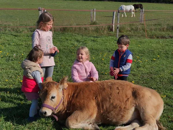 La petite ferme naturailes (groupes), OFFICE DE TOURISME DE PARELOUP LEVEZOU