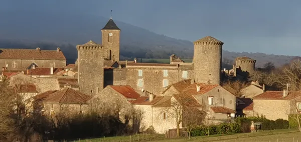 La Tour Garnier (groupes)