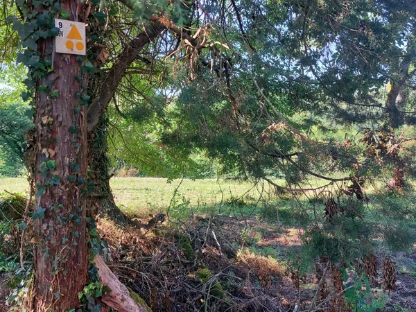 Chemins de randonnée