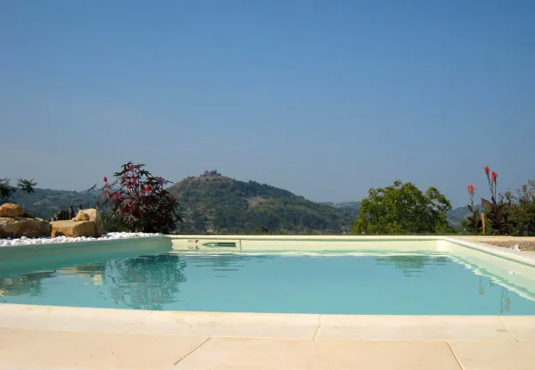 Au Jardin Sculpté - Piscine