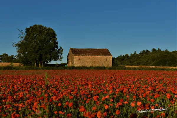 Pas de pollution., Claude Chambaud
