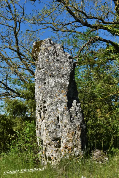 Menhir du 