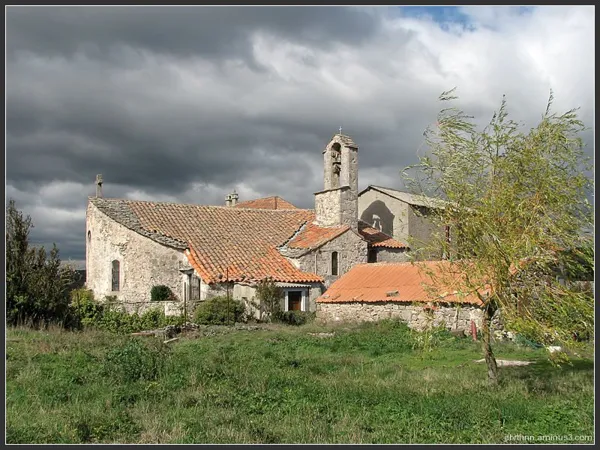 L'église du village, Les Orchis