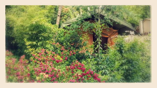 Camping La Muse (groupes), Camping La Muse