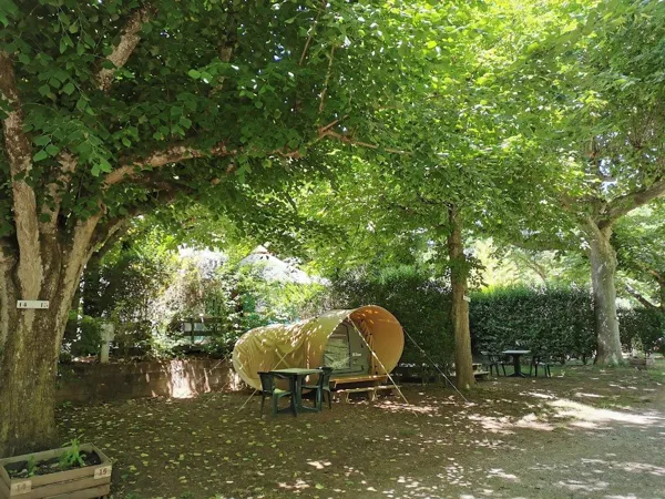 Camping La Muse (groupes), Camping La Muse