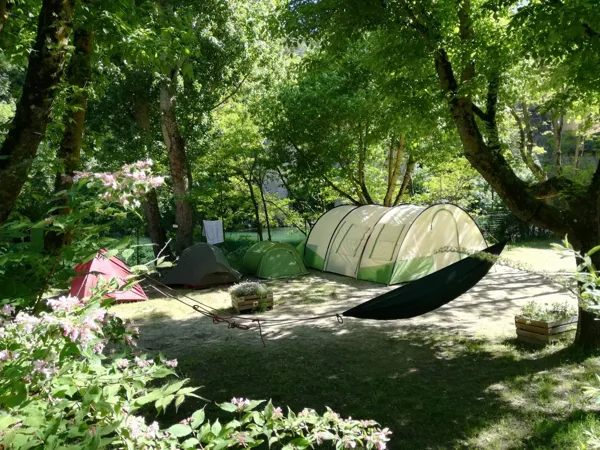 Camping La Muse (groupes), Camping La Muse