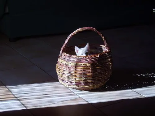 Vannerie Paysanne - Claudie et Yves Peres, OFFICE DE TOURISME DE NANT