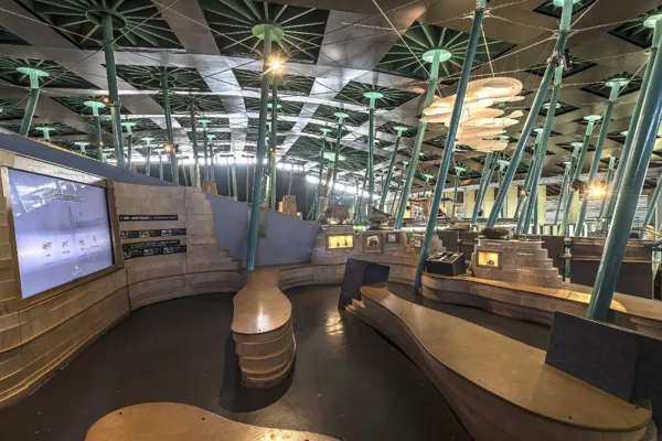 Micropolis la cité des insectes, MICROPOLIS LA CITÉ DES INSECTES