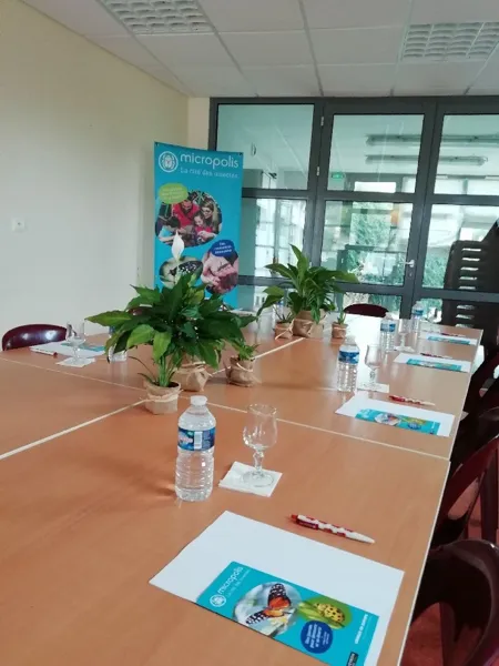 Micropolis la cité des insectes, MICROPOLIS LA CITÉ DES INSECTES