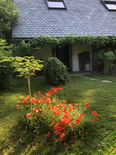 Chambre en bord de rivière