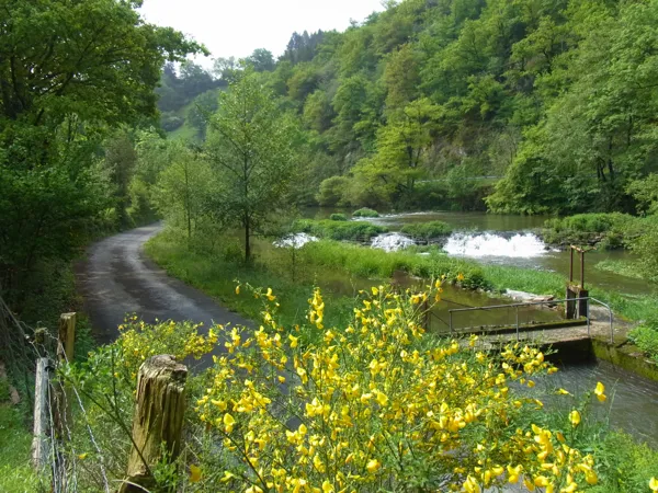 , chauchard Florence