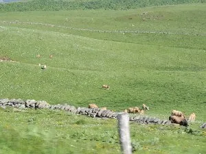 Gite Le Sorbier, Gite Le Sorbier