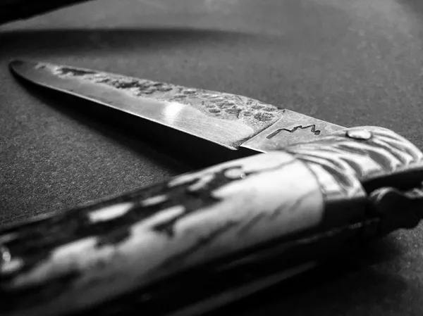 La Maison du Laguiole, Maison du Laguiole