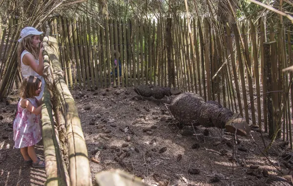 Sculpture de fourmi dans la fourmilière géante, OFFICE DE TOURISME DU CANTON DE MUR DE BARREZ