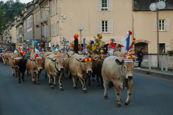 La transhumance - passage d'un troupeau à Espalion