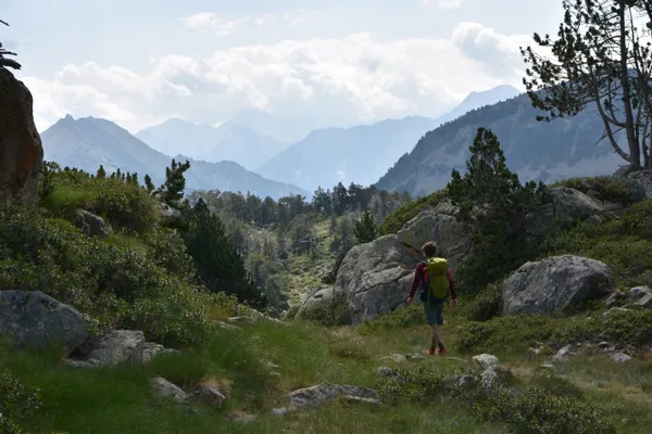 Cueilleur de Sommets  (groupes), Cueilleur de Sommets