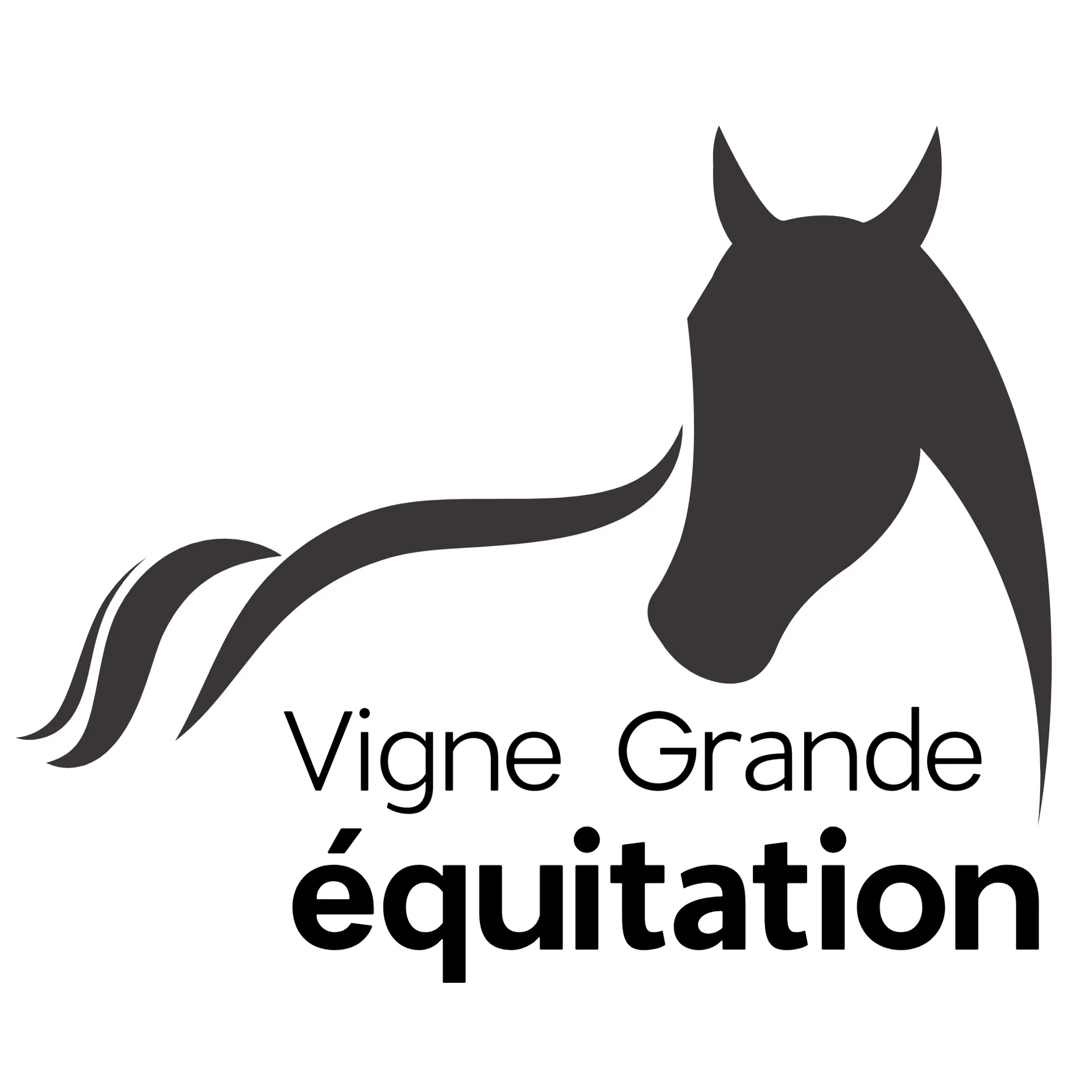 Logo, Vigne Grande Equitation