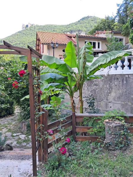 Vue depuis le jardin., 