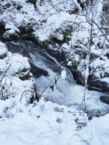 La tanière de Claire en hiver