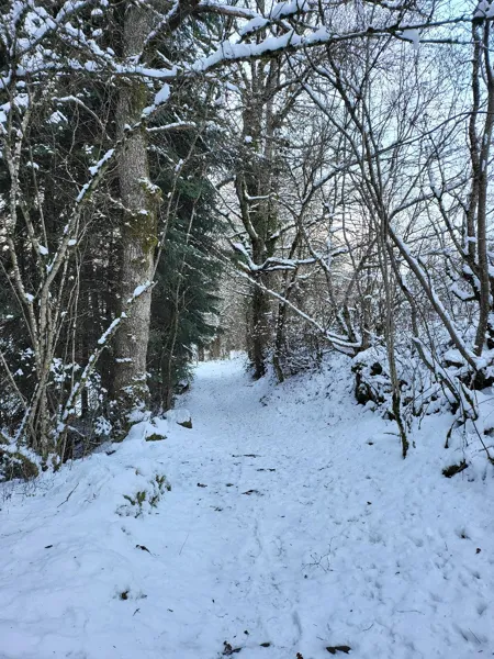 La tanière de Claire en hiver