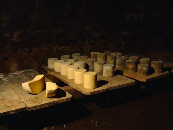 Buron de Camejane, Ramon