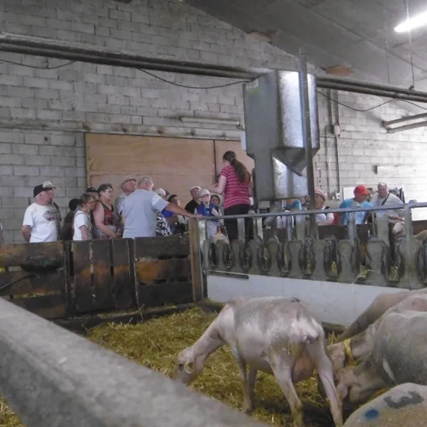 Les piliers de notre AOP Roquefort, Temps d'échange