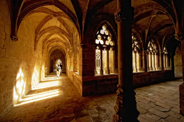 Chartreuse St Sauveur, Dominique Viet