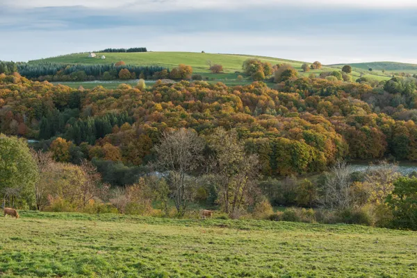 Gîte La Grange Haute