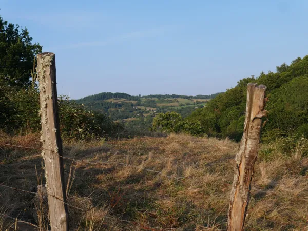 Corinne PEIGNE, Corinne PEIGNE