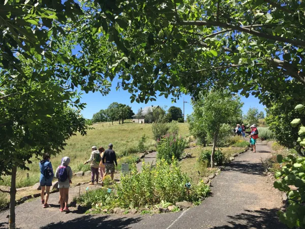 Jardin Botanique de l'Aubrac, Jardin Botanique de l'Aubrac (groupes)