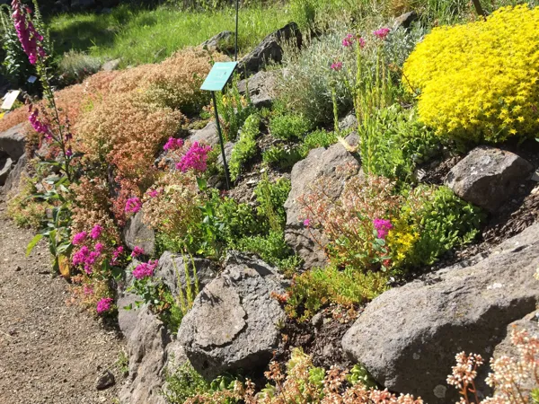 Jardin Botanique de l'Aubrac, Jardin Botanique de l'Aubrac (groupes)