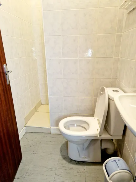 Pierre Ginisty, Le studio d'Espalion