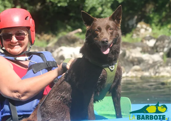 Canoë avec ton chien, 