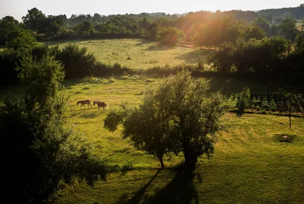 Château de Laumiere chambre d'hôtes, OT Villefranche-Najac