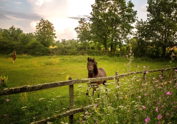 Château de Laumiere chambre d'hôtes, OT Villefranche-Najac