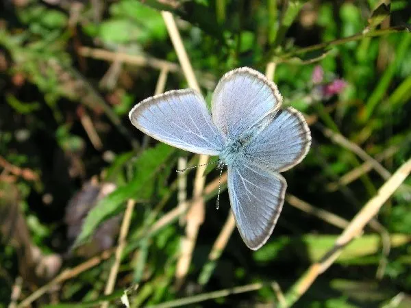 MAISON NATALE DE JEAN-HENRI FABRE, MAISON NATALE DE JEAN-HENRI FABRE - LUCAS BALITEAU