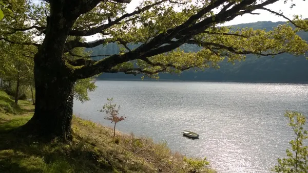 Vu le lac de Sarrans, terrasse du Chalet du Lac, 